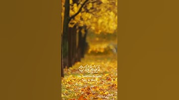 سورة الإخلاص بصوت ماهر المعيقلي