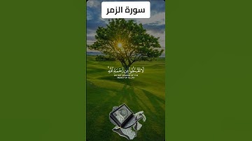 ما تيسر من سورة الزمر #القرآن_الكريم #سورة #الزمر #foryou #اكسبلور #الله #reels #follow #fyp