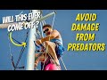 AVOID DAMAGE from PREDATORS - SAILING LIFE ON JUPITER EP147