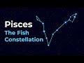 Exploring the Constellation Pisces
