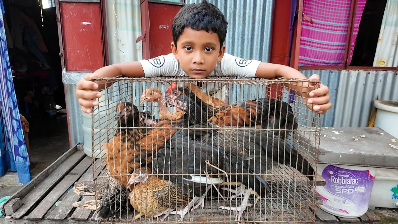 আজকে খেলা হবে 😍 মুরগি জাম্প 🐔