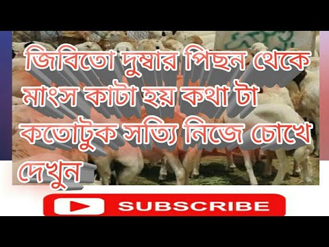 ভিডিও: কীভাবে অংশে মাংস কাটা যায়