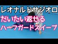 レオナルド・サジオロのハーフガードスイープ3種