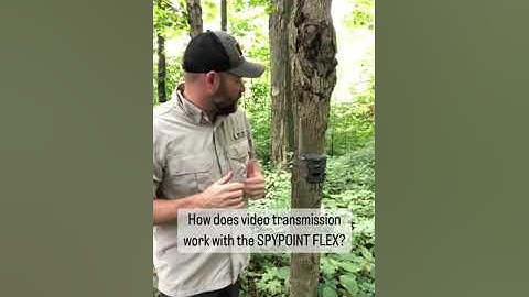 How to Use the Video Transmission Feature on the FLEX | SPYPOINT #Shorts