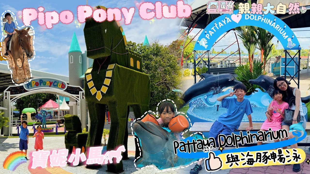 泰開心。親親大自然｜￼￼寶妮小馬俱樂部￼￼｜PiPo Pony Club｜與海豚暢泳｜芭堤雅海豚館｜Pattaya Dolphinairum￼ ￼￼｜Tappia海上咖啡廳🦑@20250730&31