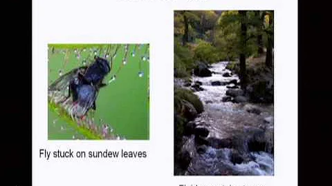 The Neuroscience of Emotions