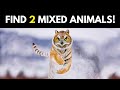 Guess 2 Animals Mixed In One Picture Puzzle! | Hybrid Animals Game