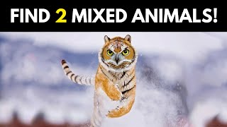 Guess 2 Animals Mixed In One Picture Puzzle! | Hybrid Animals Game screenshot 4