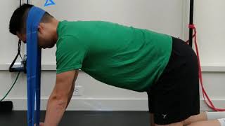 Quadruped Chin Tucks