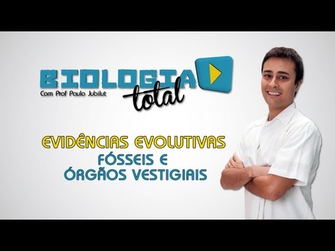 Evidências Evolutivas - Fósseis e Órgãos Vestigiais - Prof. Paulo Jubilut