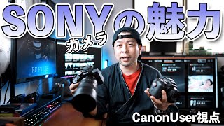 Canonユーザーから見るSonyカメラの魅力と気になるところ！「動画クリエーター目線」