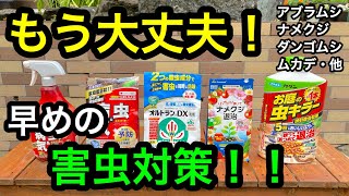 『害虫対策』これからの季節。もう虫で悩まない❗️