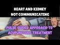 Pulse Guided Acupuncture: Treating Heart and Kidney Disharmony