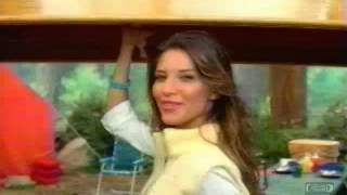 Geico  Television Commercial  2004  Cdaning