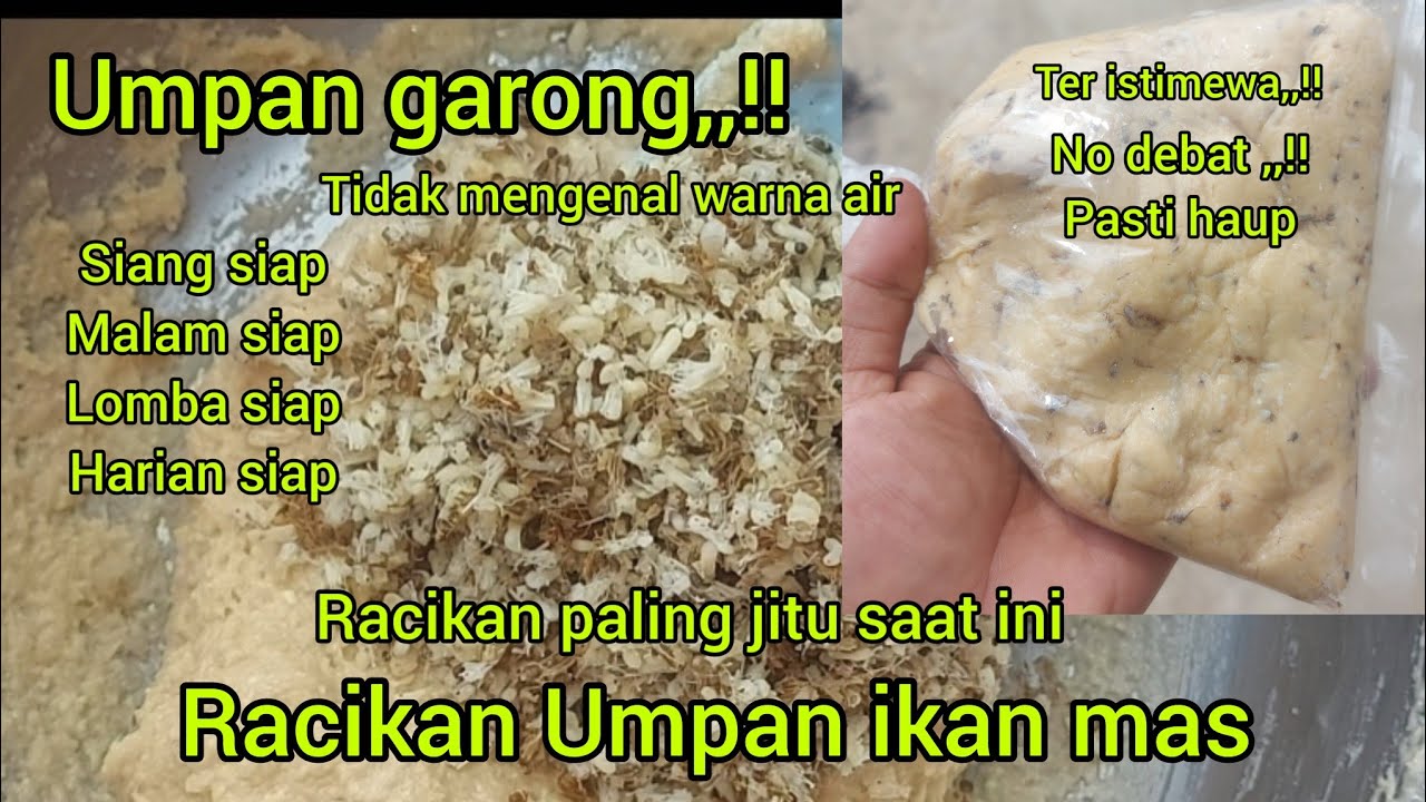UMPAN GARONG,,!! tidak mengenal air,,racikan umpan ikan mas jitu,,siang malam,lomba harian ok