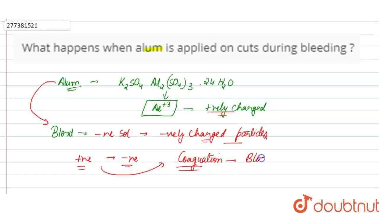 What happens when alum is applied on cuts during bleeding ? CLASS 12