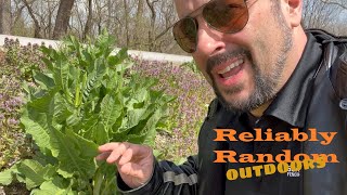 Wild Edible Plants of Indiana