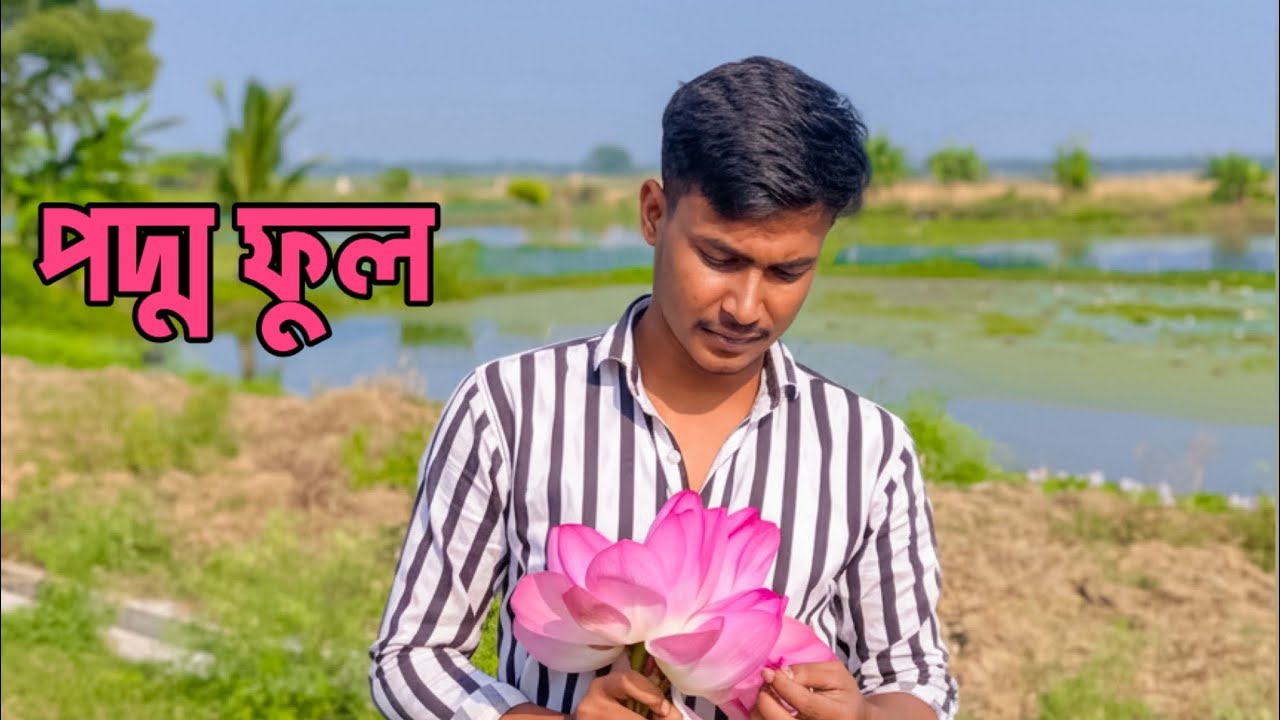 পদ্ম ফুল তুলতে গিয়ে যা ঘটল part 2 😅