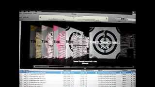 Celebrity RMB Tunnel Trance Force iPod Classic Cover Flow Net Worth
