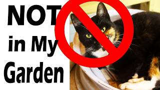 DIY Cat Barriers for Your Garden That Actually Work