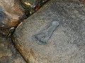 Jesus footprints in kenyavihiga residents claim jesus left footprint on rock