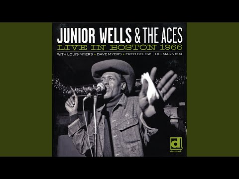 Putar Feelin' Good/What I'd Say - Junior Wells