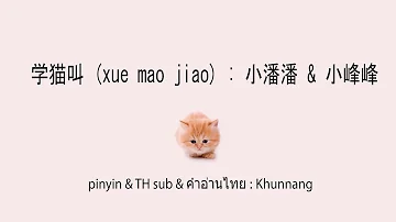 学猫叫 (xue mao jiao+ซับไทย+คำอ่านไทย) : 小潘潘 & 小峰峰 \ pinyin & TH sub : Mollymoon [แปลเพลงจีน]