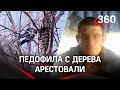 Педофила с берёзы арестовали. На дерево его загнал дядя падчерицы с битой