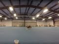 Charlotte Dog Training Charlotte Dog Training