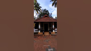 aliyans bgm video 🕊