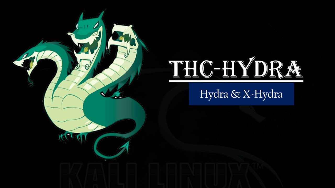 Brute Forcing and Network Logon Cracking using Hydra and X-Hydra - YouTube