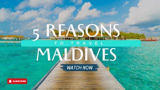 Top 5 Reasons The Maldives Should Be your Next Escape!