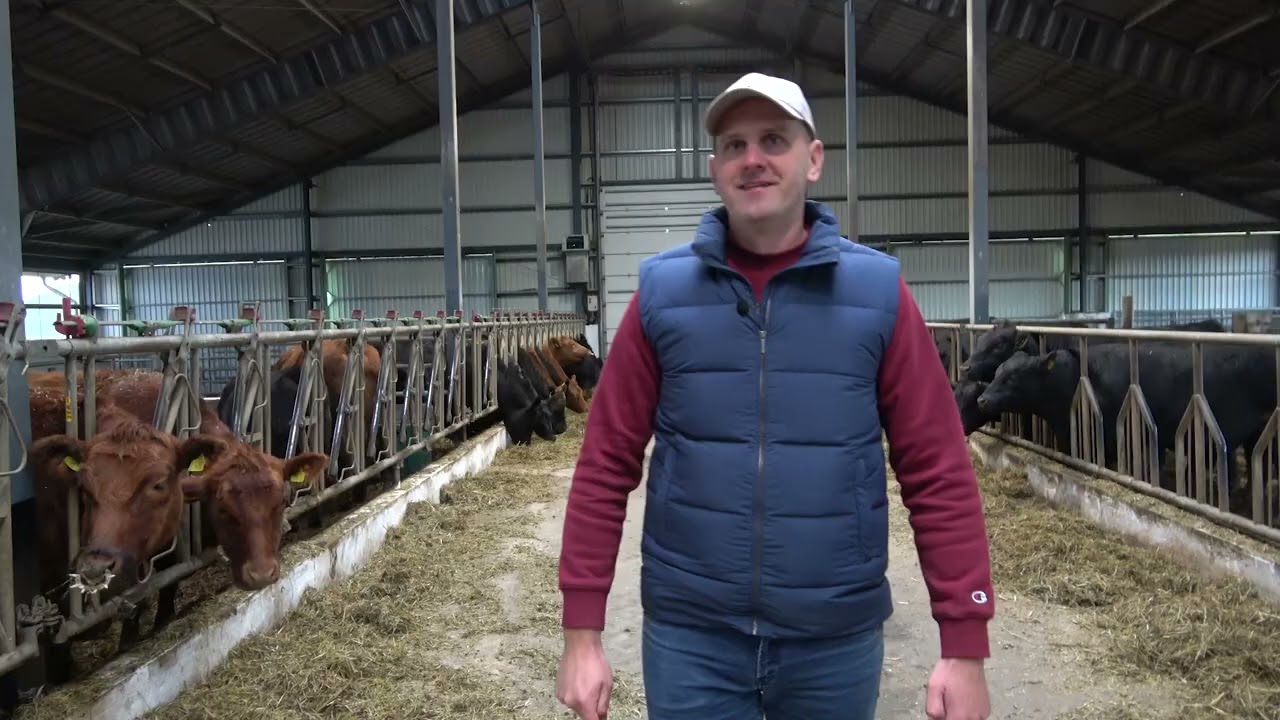 Fermos | Angarai žemės ūkiui | Borga