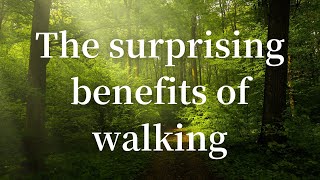 The Surprising Benefits of Walking: Heart Health, Brain Power, and Better Sleep