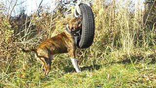 IMG_0483.AVI