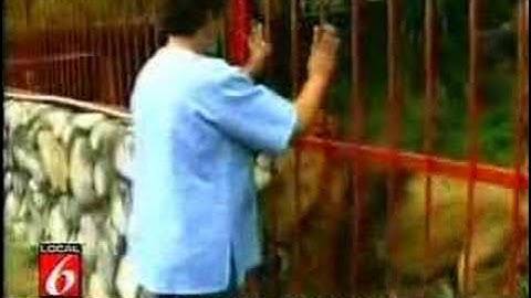 LEÃO... LEIA ANTES DE ASSISTIR O VÍDEO