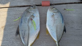 Fishing at coastal road talomo davao city using sabiki and bait & wait