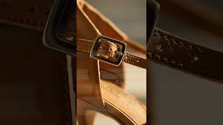 Smooth Ballroom Shoe Spotlight | IDS American Flex