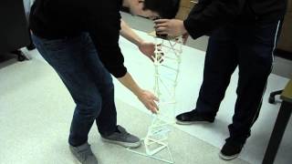 Team 5 Straw Tower Spring 2014