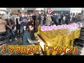 【男性からリクエスト💫】マクロスF「ライオン」を弾いてみたら現場が大盛り上がりに・・？！【都庁思い出ピアノ】