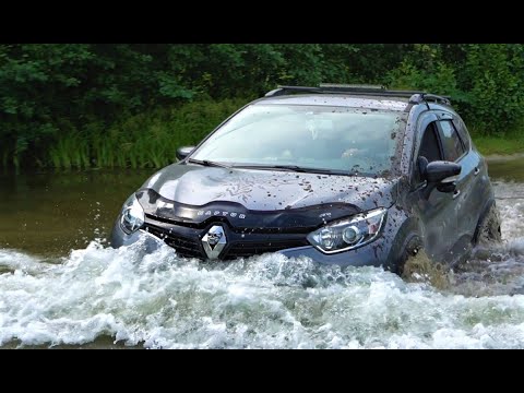 Убийство главы рено