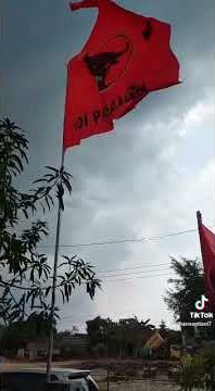BENDERA PDI PERJUANGAN SELALU BERKIBAR