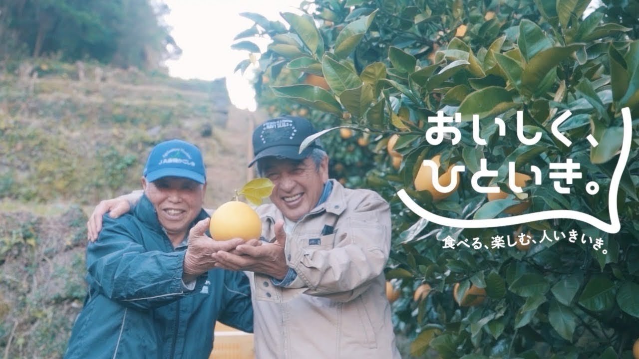 鹿児島県いちき串木野市の知ってる？ 幸せの黄色果実 サワーポメロ