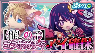 誰もが石奪われてく 君は控え込みで条件エンハのアイドル　推しの子コラボガチャ〖#ぷよクエ〗