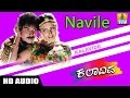 Navile - Kalavida | S.P Balasubrahmanyam | Hamsalekha | Crazy Star Ravichandran, Roja| Jhankar Music