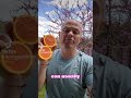 do you love oranges? #orange #eat #fruit #real #food