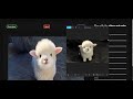 Modern Image Filter App using Vanilla JavaScript