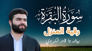 سورة البقرة بصوت بيشه وا قادر الكردي 🕌 رقية قوية لتحصين المنزل