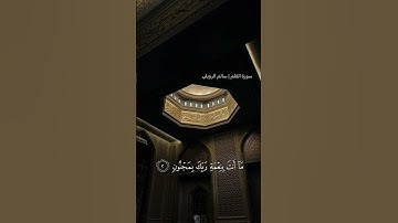 سورة القلم | سالم الرويلي