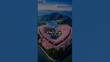 #قران_كريم #الحمدالله_دائما #اجر_لي_ولكم #قران كريم #استغفر_الله_واتوب_إليه_استغفر_الله_العظيم